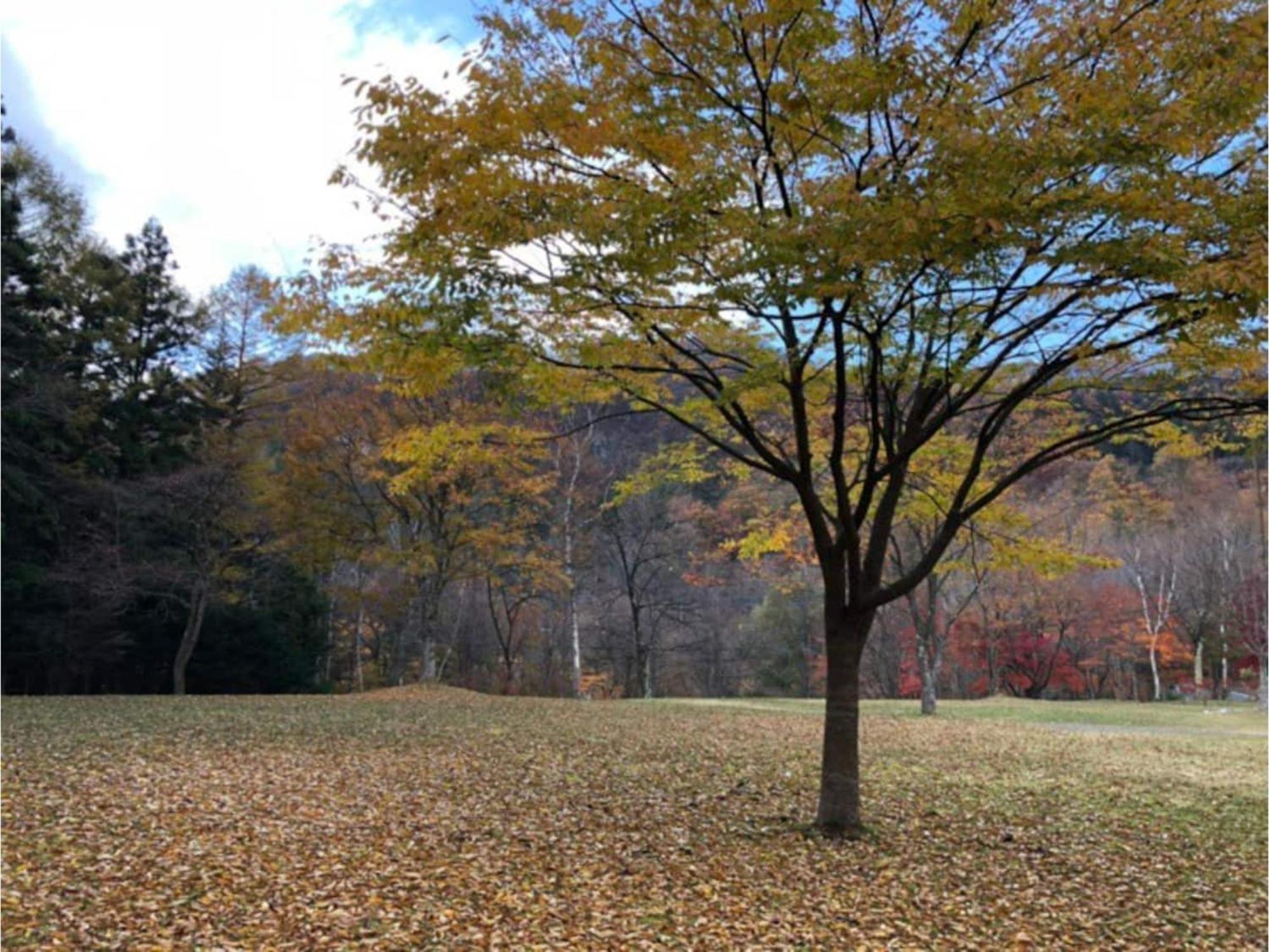 Polar Haus Minamikaruisawa1 - Vacation Stay 88000V Karuizawa Extérieur photo