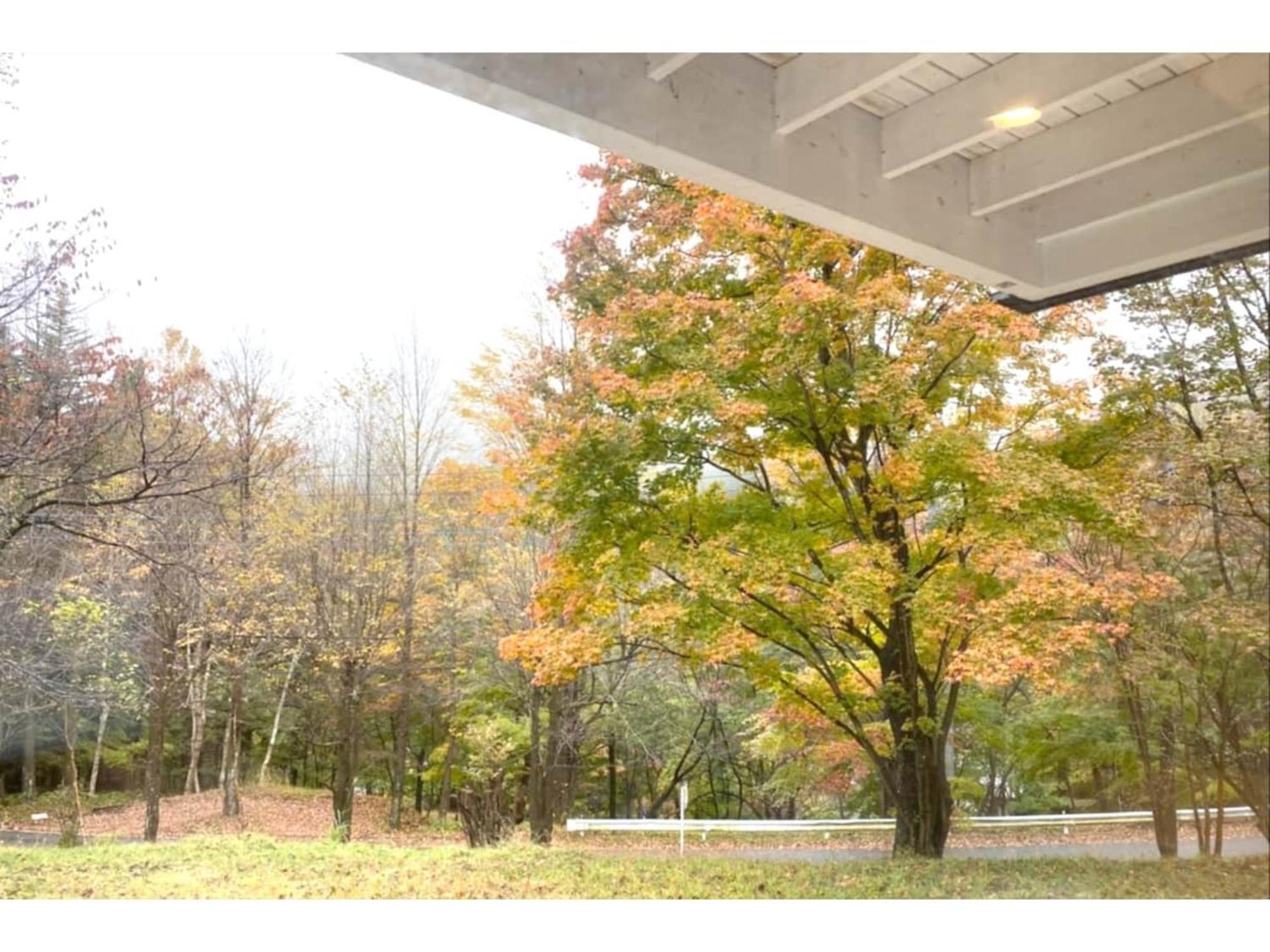 Polar Haus Minamikaruisawa1 - Vacation Stay 88000V Karuizawa Extérieur photo